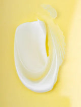 Ceramide Night Cream